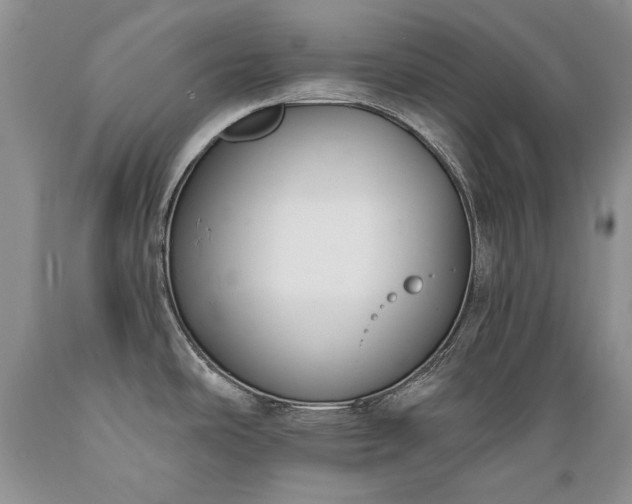 X0000089391486200706221306