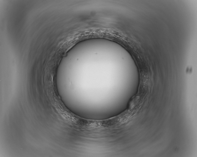 X0000089391489200706221305