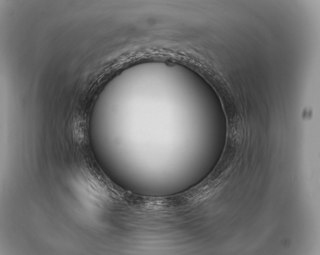 X0000089391490200706221305