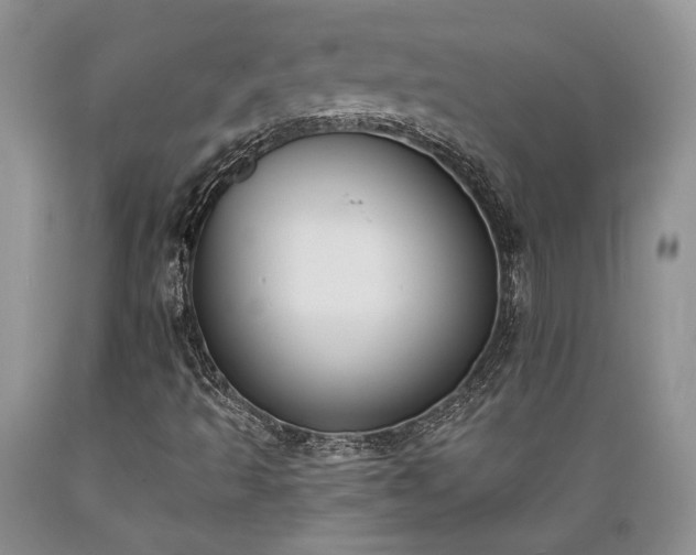 X0000089391493200706221305