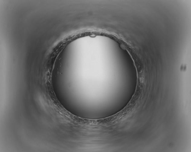X0000089391495200706221305