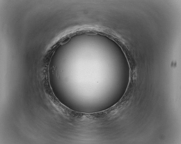 X0000089391496200706221305