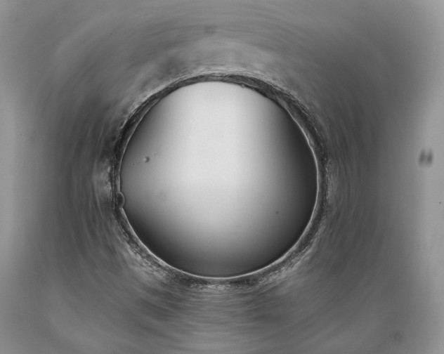 X0000089391497200706221305