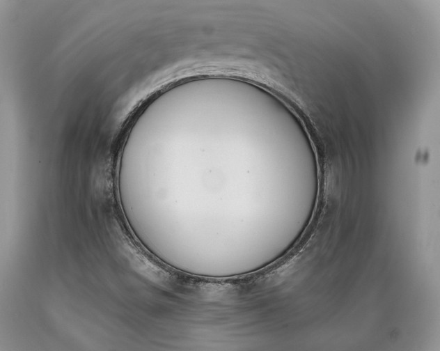 X0000089391498200706221305