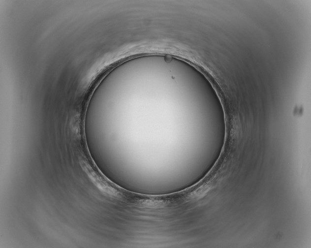 X0000089391499200706221305