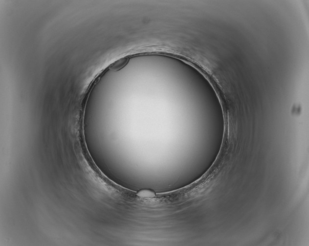 X0000089391500200706221305