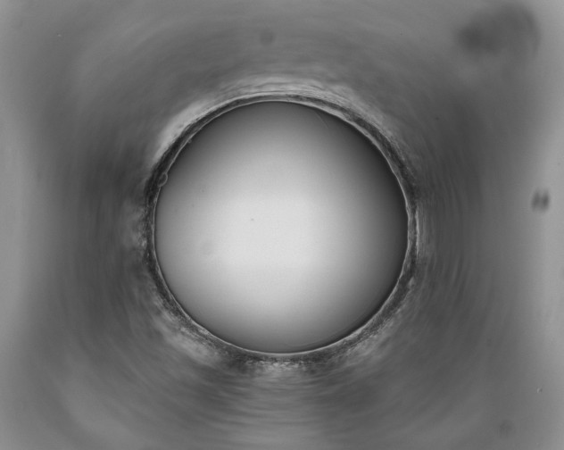 X0000089391501200706221305