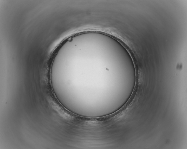 X0000089391502200706221305