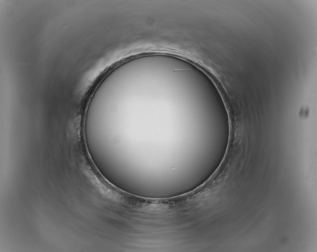 X0000089391503200706221305