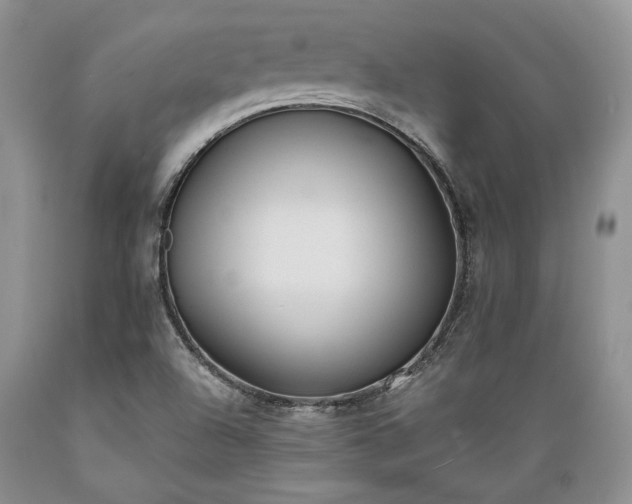 X0000089391504200706221305