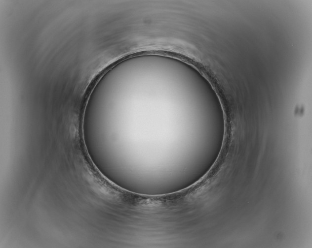 X0000089391505200706221305