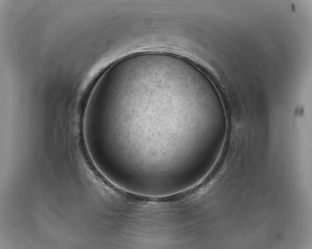 X0000089391506200706221305
