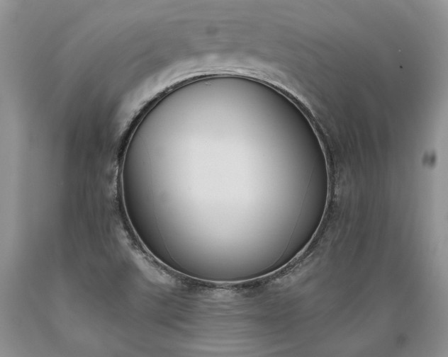 X0000089391507200706221305