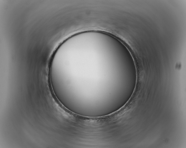 X0000089391508200706221305