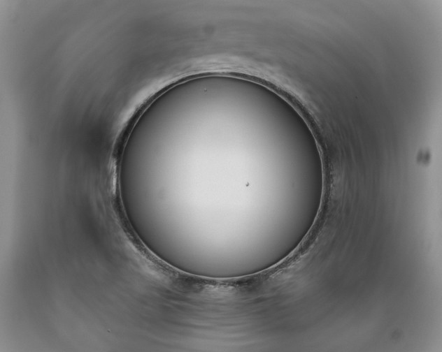 X0000089391509200706221305