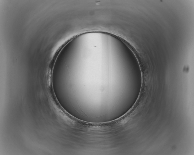 X0000089391510200706221305