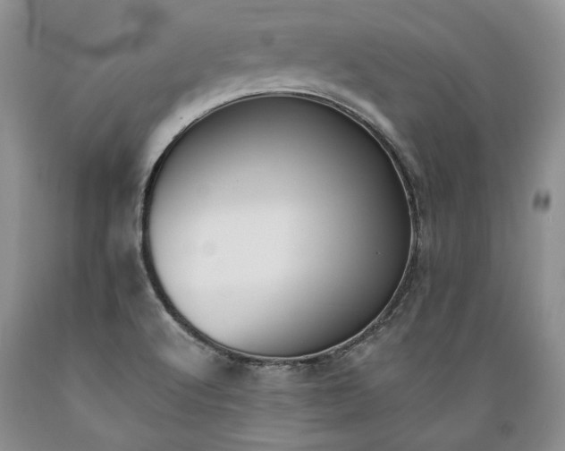 X0000089391512200706221306