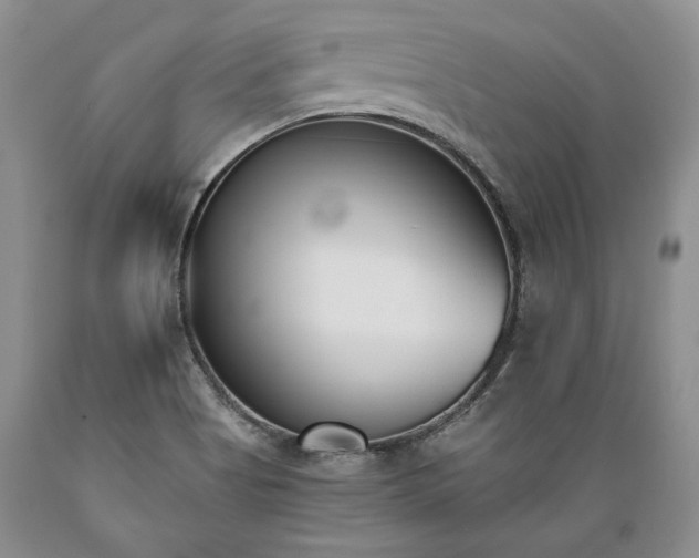 X0000089391513200706221306