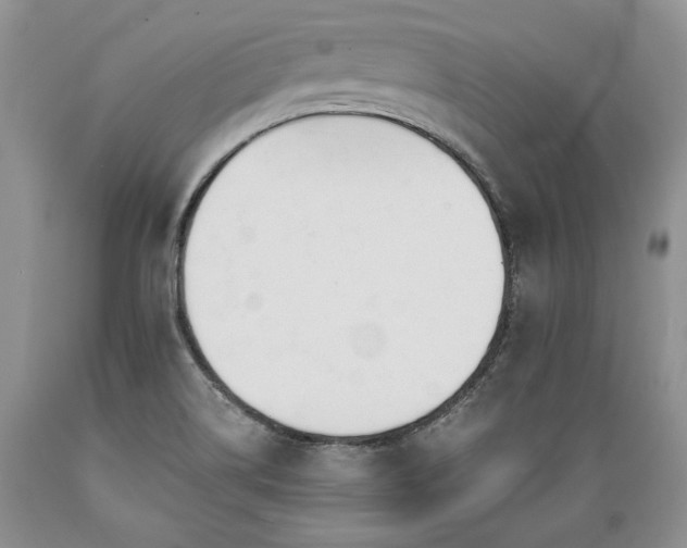 X0000089391514200706221306