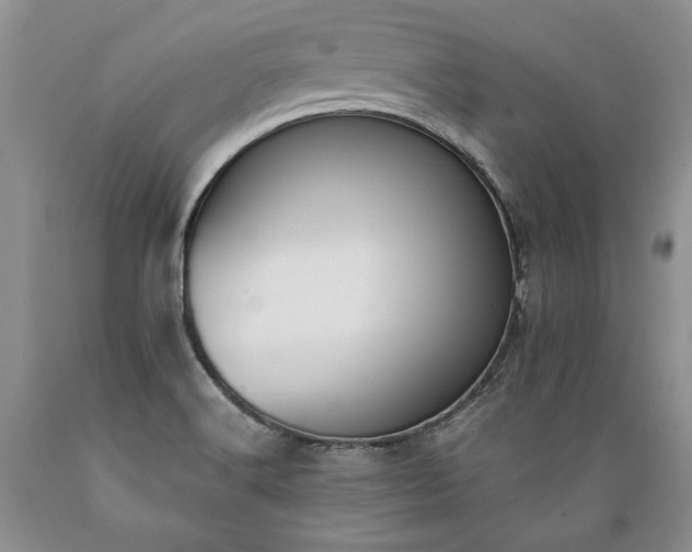 X0000089391516200706221306