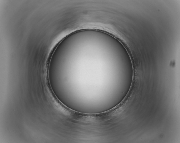 X0000089391517200706221306