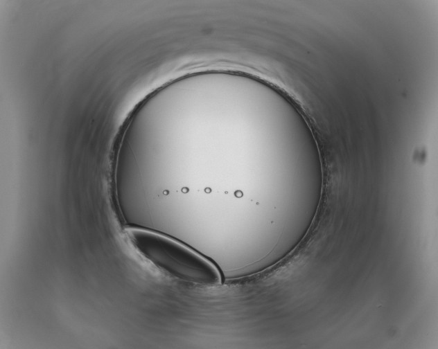 X0000089391518200706221306