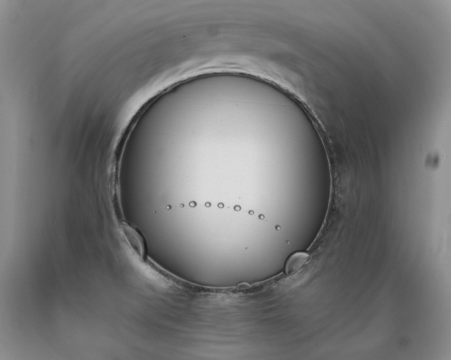 X0000089391519200706221306