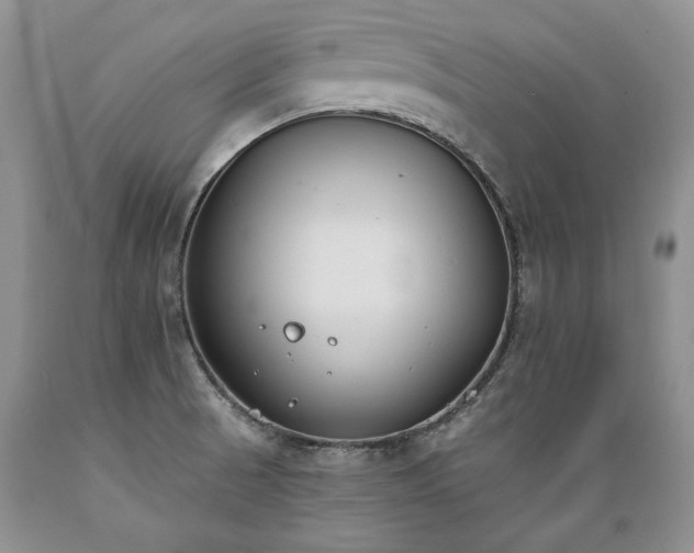 X0000089391521200706221306