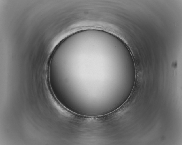 X0000089391523200706221306