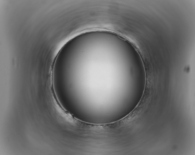 X0000089391524200706221306