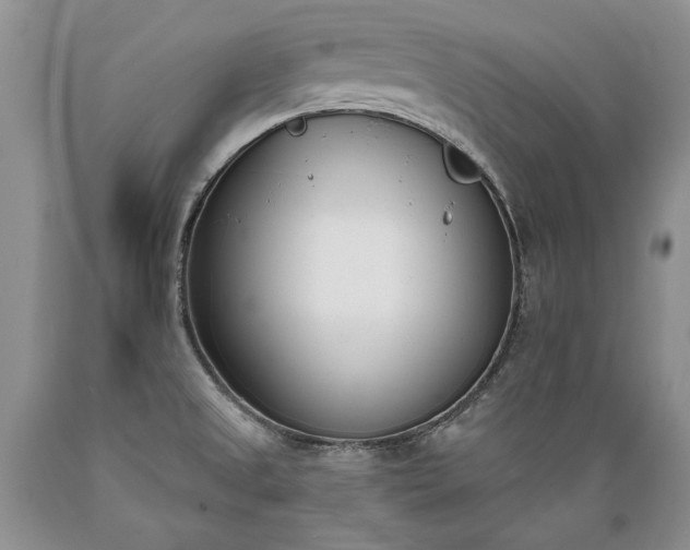 X0000089391525200706221306