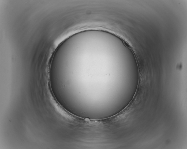 X0000089391526200706221306