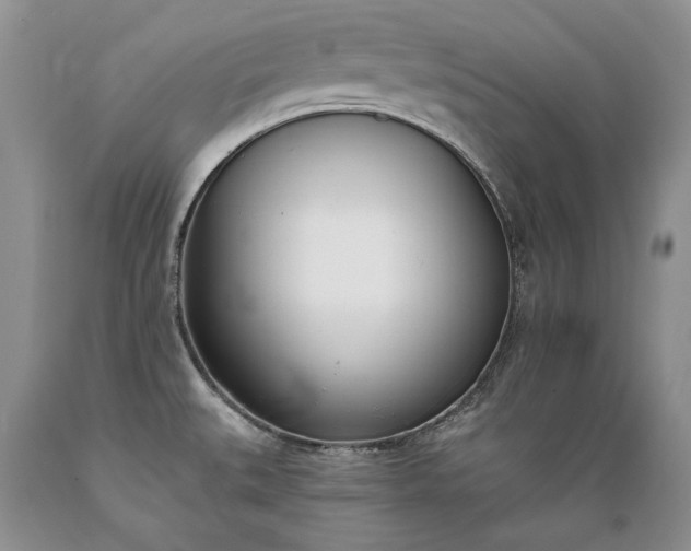 X0000089391527200706221306