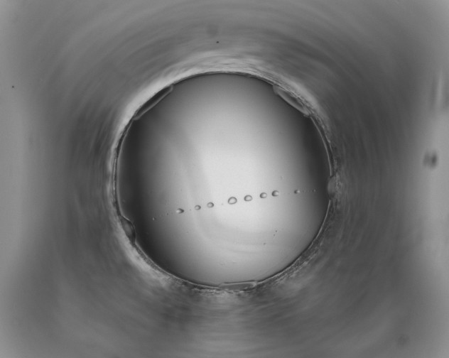 X0000089391528200706221306