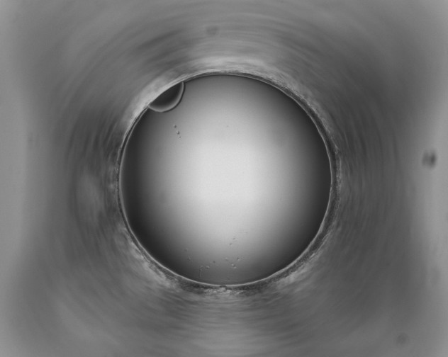 X0000089391529200706221306