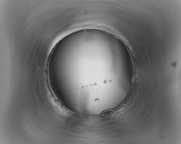 X0000089391530200706221306