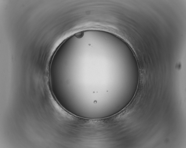 X0000089391531200706221306