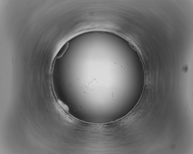 X0000089391532200706221306