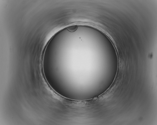 X0000089391533200706221306