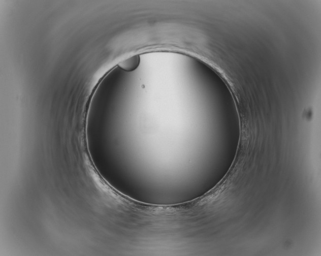 X0000089391534200706221306