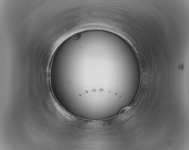 X0000089391535200706221306