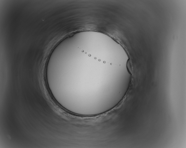 X0000089390001200706291343