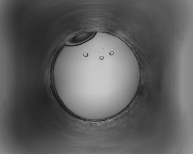 X0000089390002200706291343