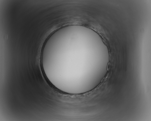 X0000089390003200706291343