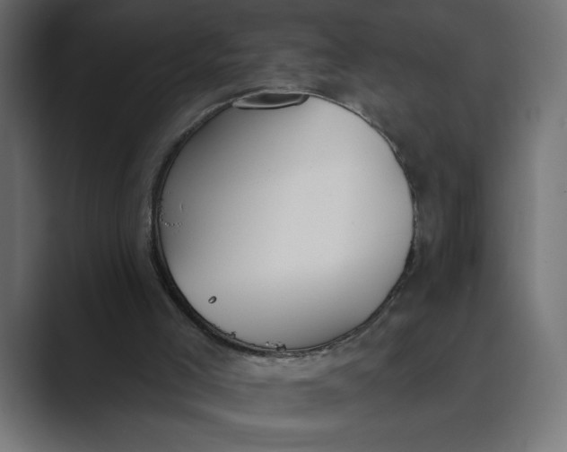 X0000089390005200706291343