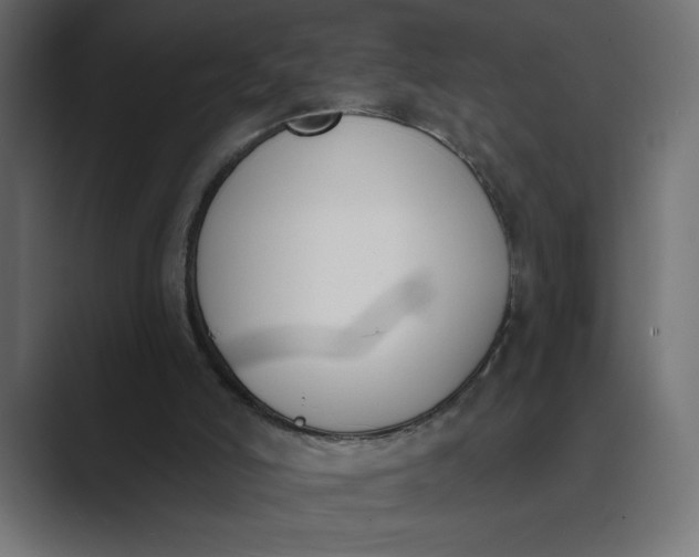 X0000089390006200706291343