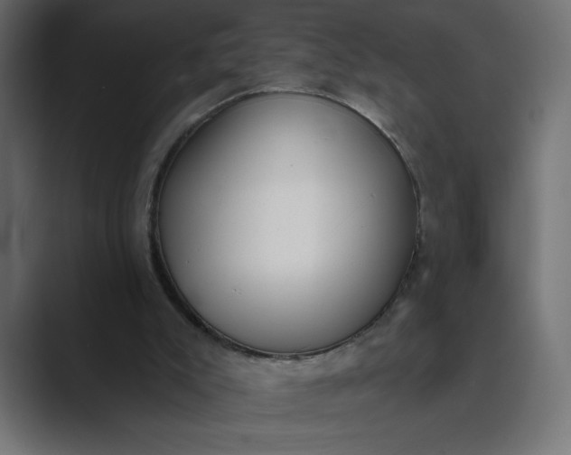 X0000089390007200706291343