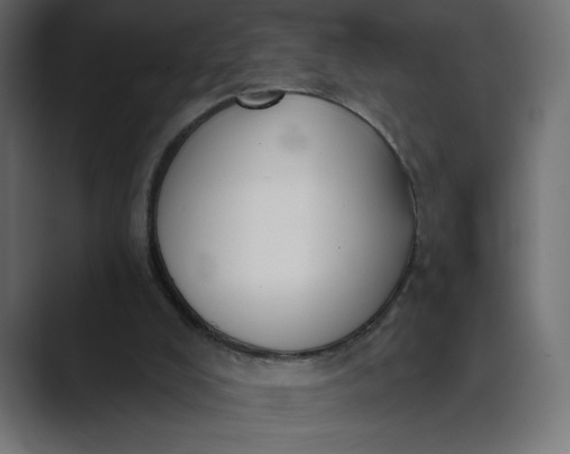 X0000089390008200706291343