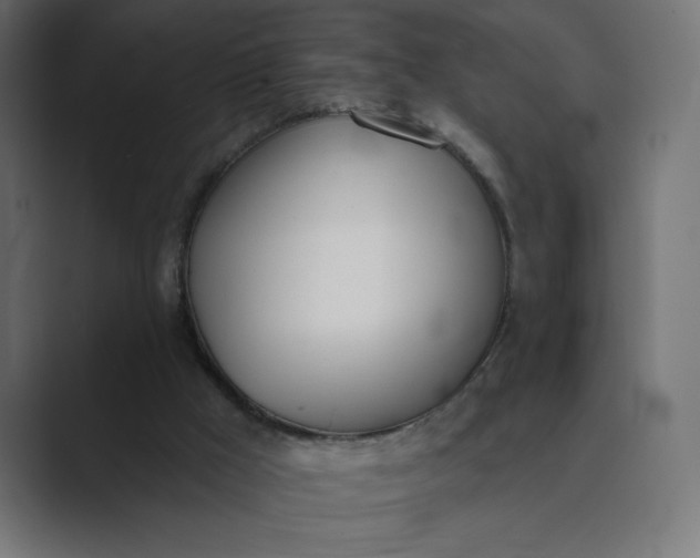 X0000089390009200706291343