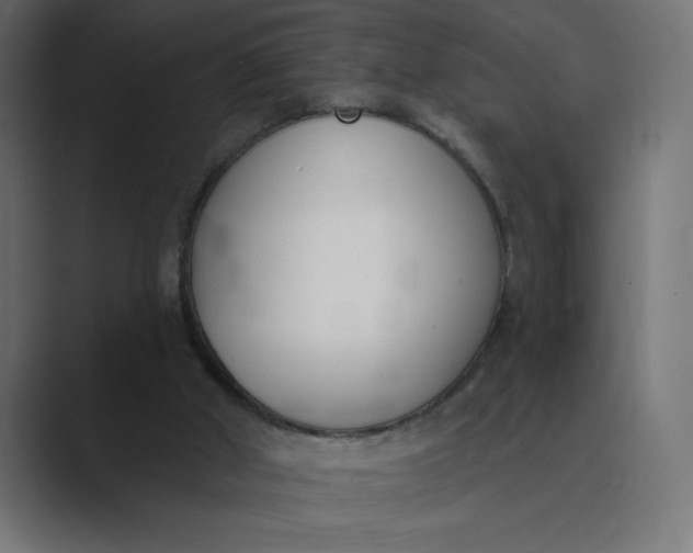 X0000089390010200706291343